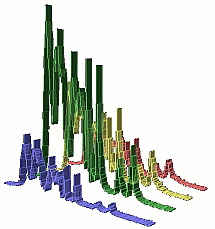 3D Burst model